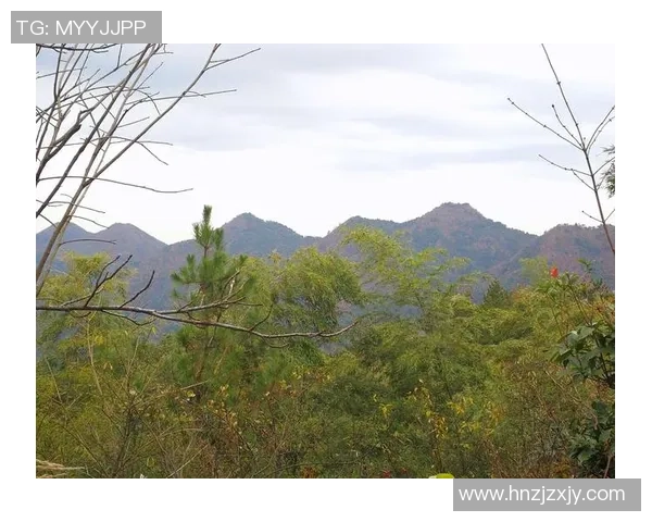 客山与奥伦堡的较量揭示了足球战术与团队合作的重要性